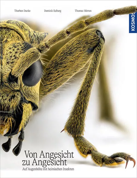 Cover: Von Angesicht zu Angesicht