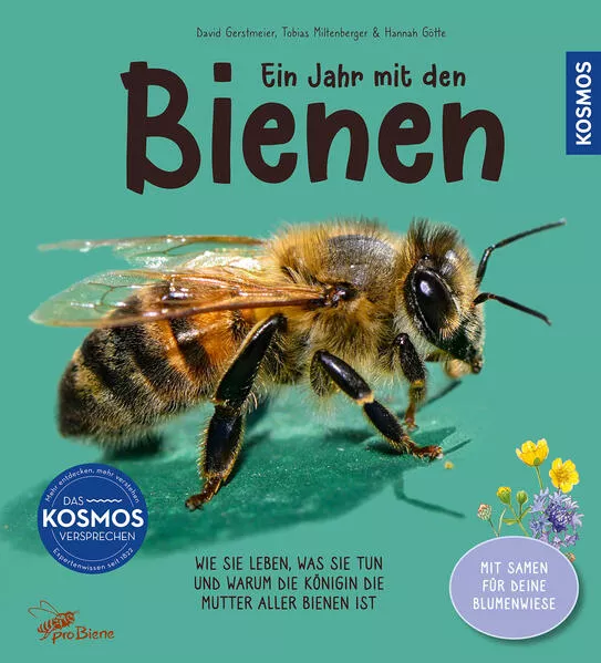 Cover: Ein Jahr mit den Bienen