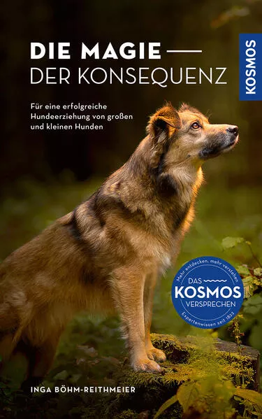 Cover: Die Magie der Konsequenz
