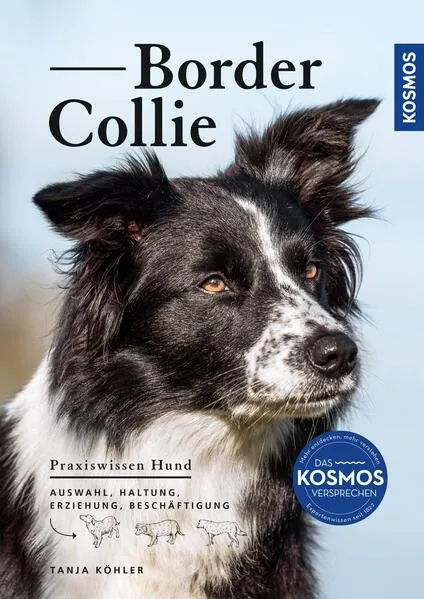Cover: Border Collie