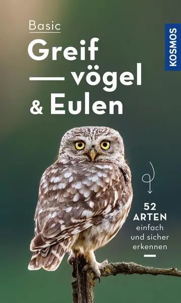 Basic Eulen Greifvögel</a>