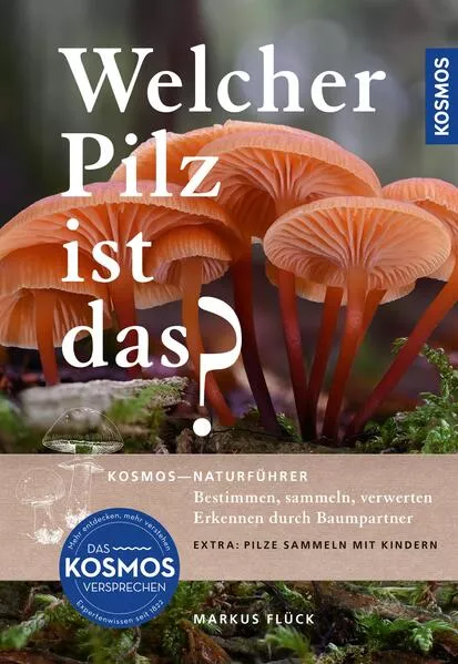 Welcher Pilz ist das?</a>