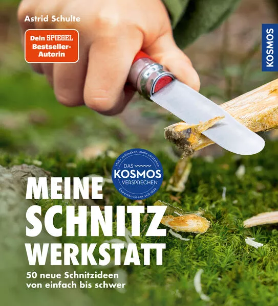Cover: Meine Schnitzwerkstatt