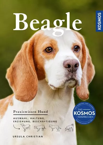 Beagle</a>