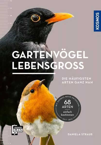 Gartenvögel lebensgroß</a>