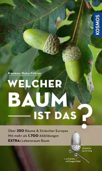 Welcher Baum ist das?</a>