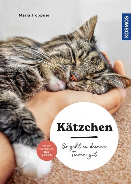 Cover: Kätzchen