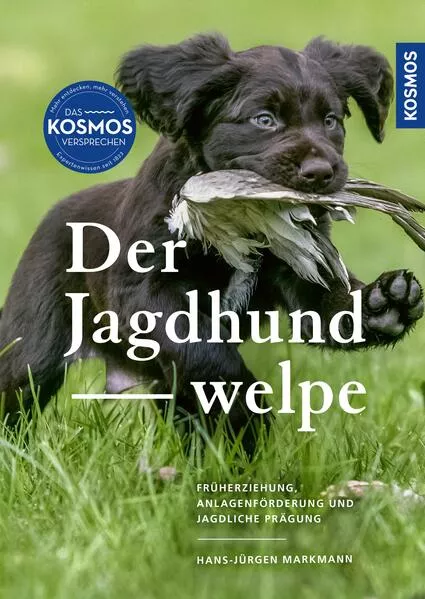 Der Jagdhundwelpe