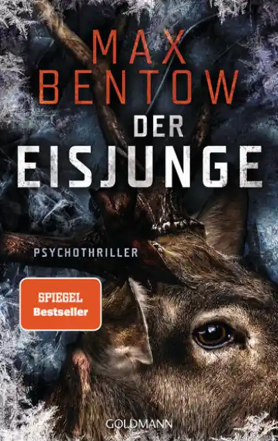 Cover: Der Eisjunge