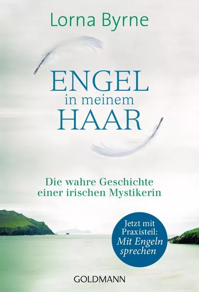 Cover: Engel in meinem Haar