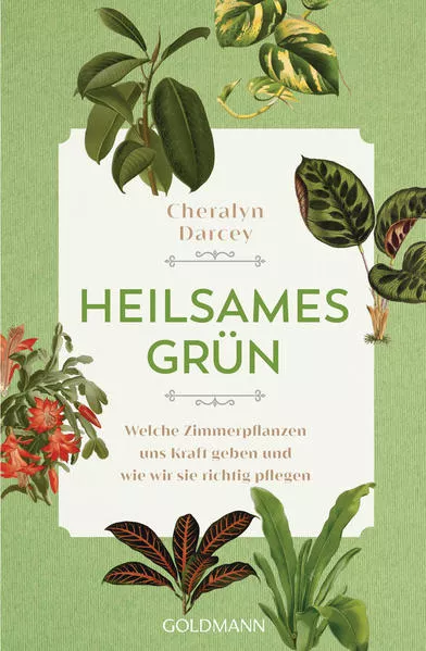 Cover: Heilsames Grün