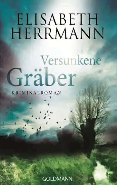 Cover: Versunkene Gräber