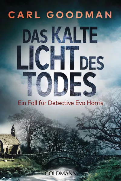 Cover: Das kalte Licht des Todes