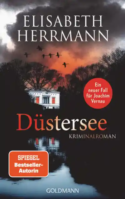 Cover: Düstersee
