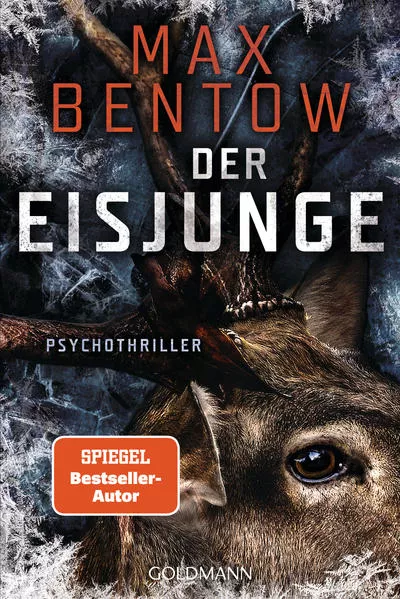 Cover: Der Eisjunge