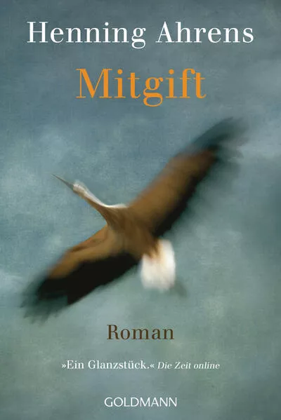 Cover: Mitgift