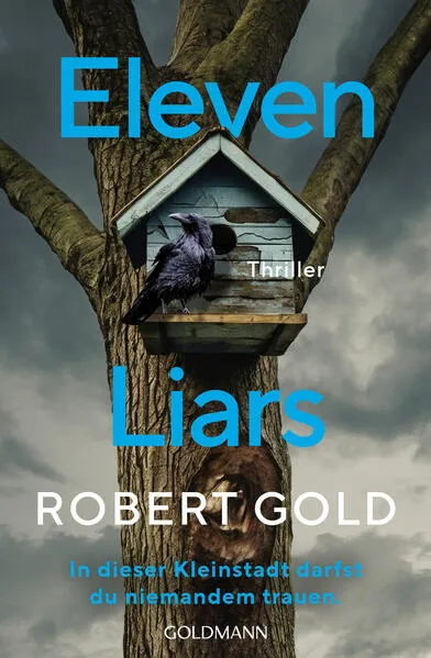Cover: Eleven Liars