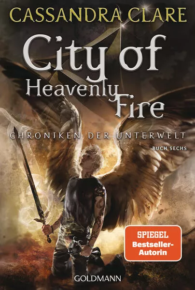 City of Heavenly Fire</a>
