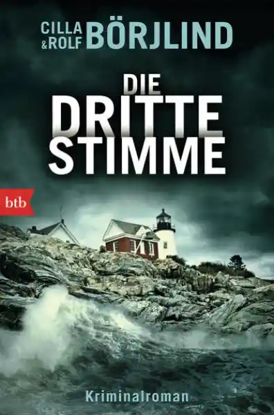 Cover: Die dritte Stimme