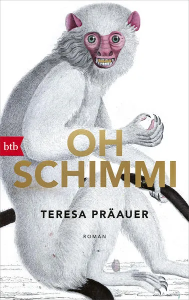 Cover: Oh Schimmi