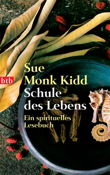 Cover: Schule des Lebens
