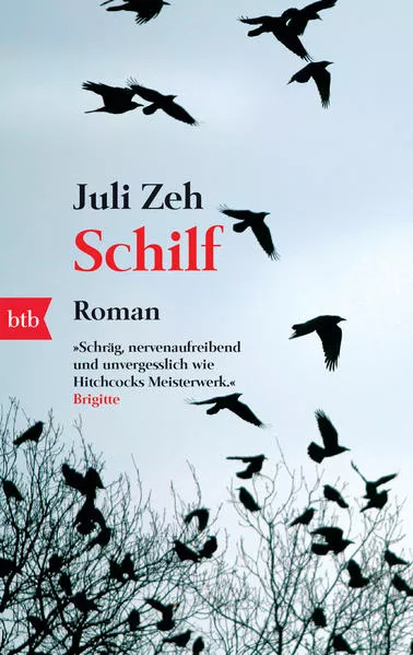 Cover: Schilf