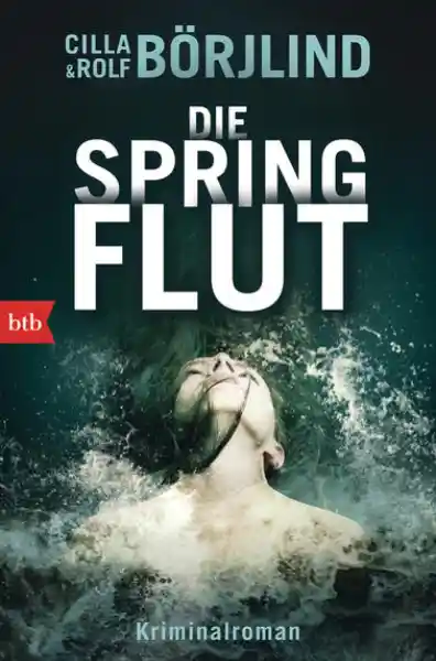 Cover: Die Springflut