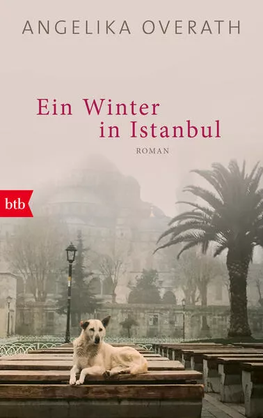 Ein Winter in Istanbul</a>