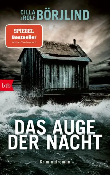 Cover: Das Auge der Nacht