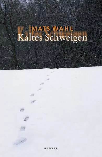 Cover: Kaltes Schweigen