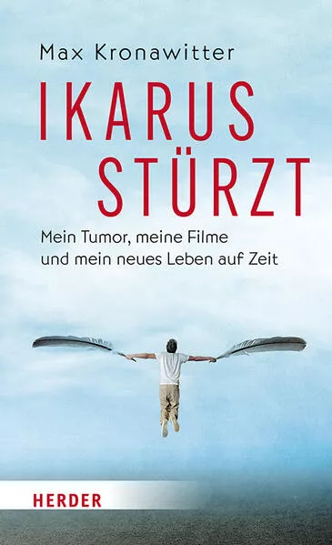 Cover: Ikarus stürzt