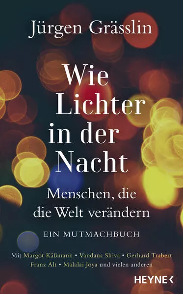 Cover: Wie Lichter in der Nacht