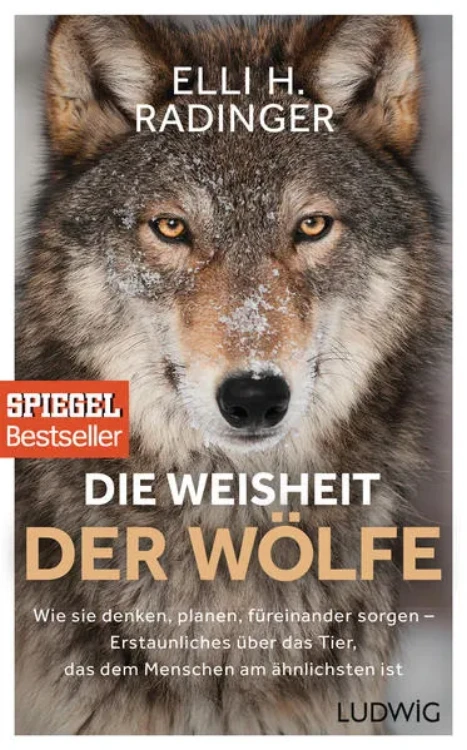 9783453280939: Vortrag und Gespräch mit Elli Radinger: "Vorbild Wolf! Was wir von Wölfen für den Umgang mit unseren Hunden lernen können "