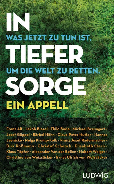 Cover: In tiefer Sorge