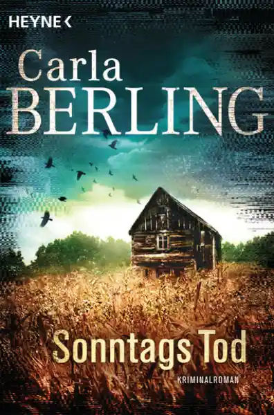 Cover: Sonntags Tod