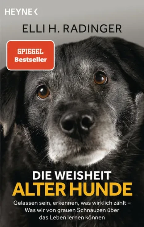 Cover: Die Weisheit alter Hunde