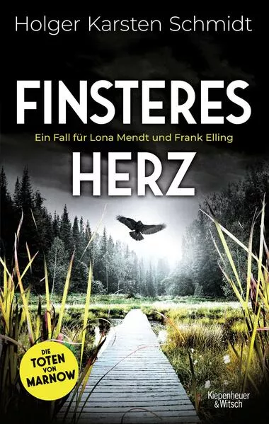 Cover: Finsteres Herz