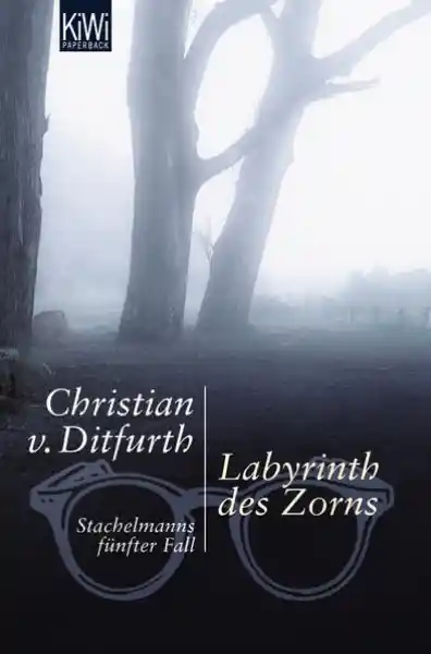 Cover: Labyrinth des Zorns