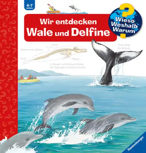 Cover: Wieso? Weshalb? Warum?, Band 41: Wir entdecken Wale und Delfine