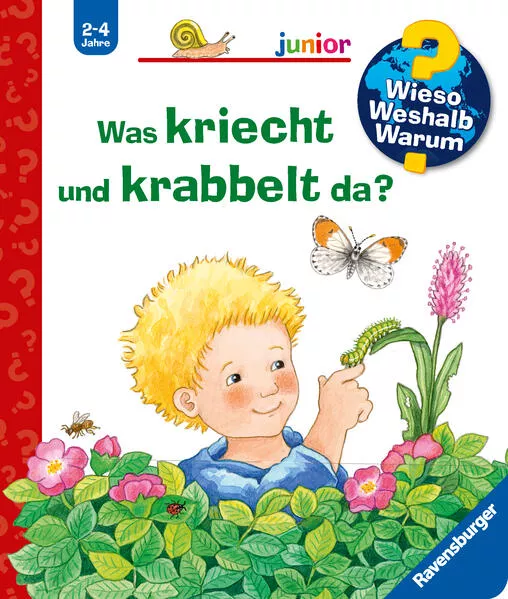 Cover: Wieso? Weshalb? Warum? junior, Band 36: Was kriecht und krabbelt da?