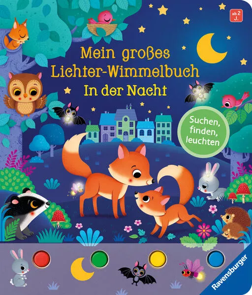 Cover: Mein großes Lichter-Wimmelbuch: In der Nacht