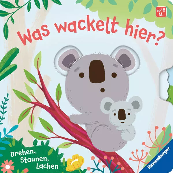 Cover: Was wackelt hier?