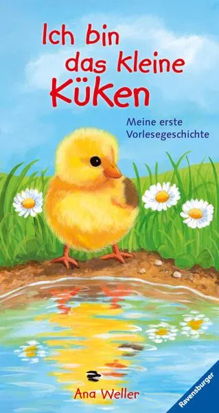 Cover: Ich bin das kleine Küken