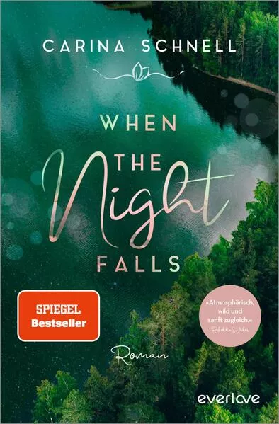 Cover: When the Night Falls