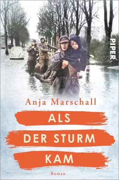 Cover: Als der Sturm kam