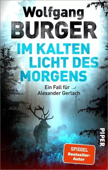 Cover: Im kalten Licht des Morgens