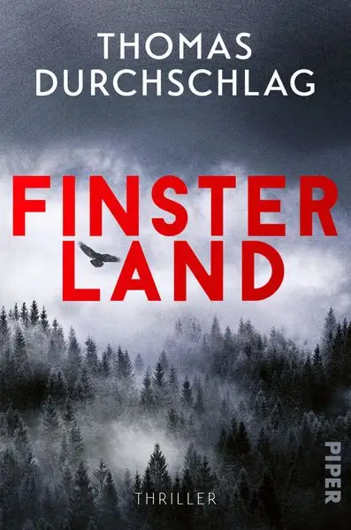 Cover: Finsterland