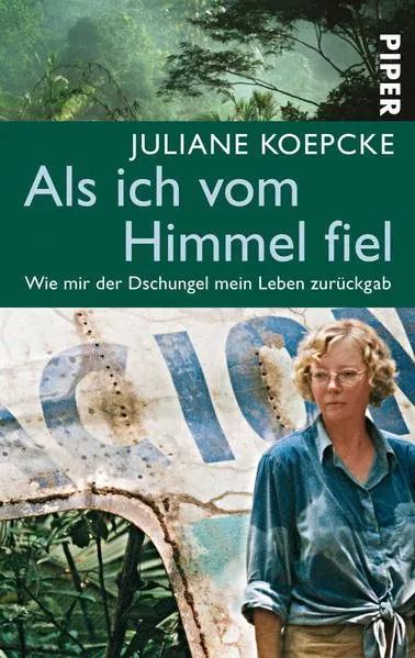 Cover: Als ich vom Himmel fiel