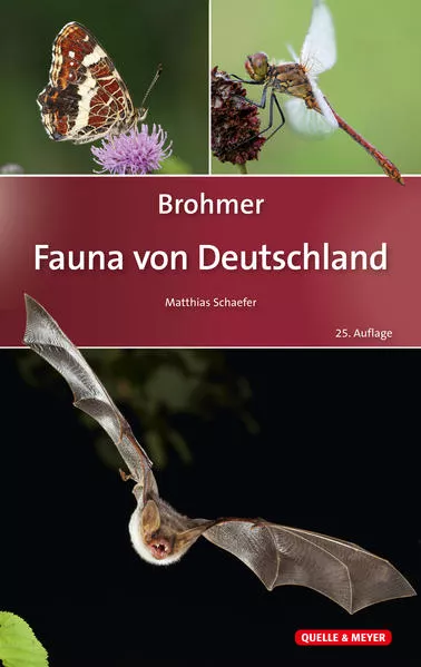 Cover: Brohmer – Fauna von Deutschland