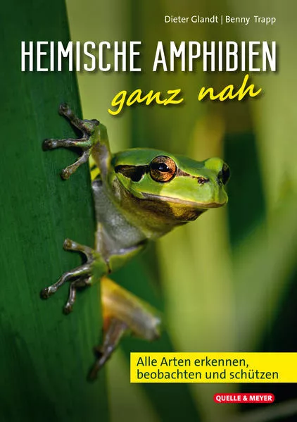 Cover: Heimische Amphibien ganz nah